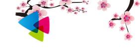 BL书库